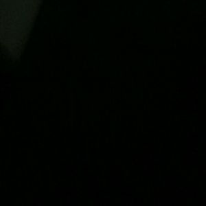 Meet your Posher, Elodie